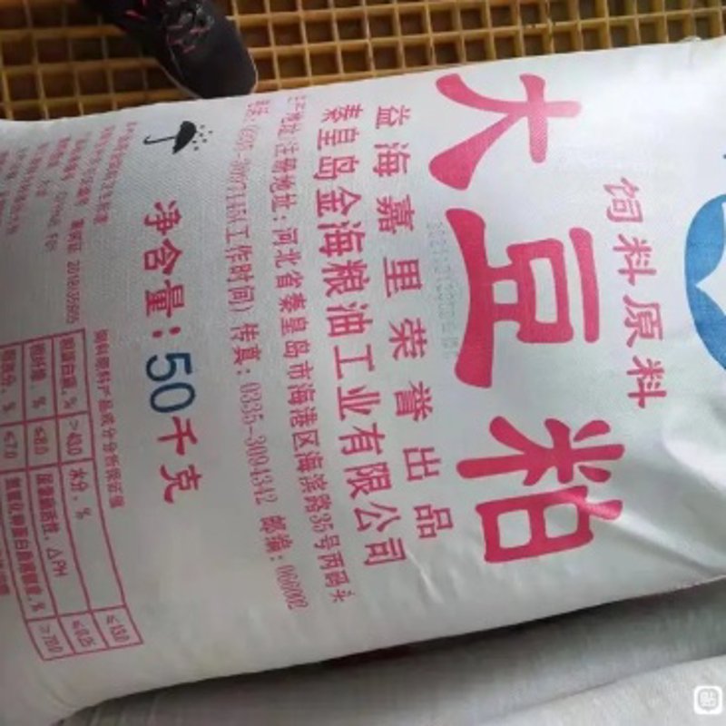 河北粮油批发:把握市场动态,洞察商机
