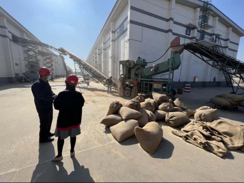 粮油市场的新趋势:利阳粮油引领行业变革
